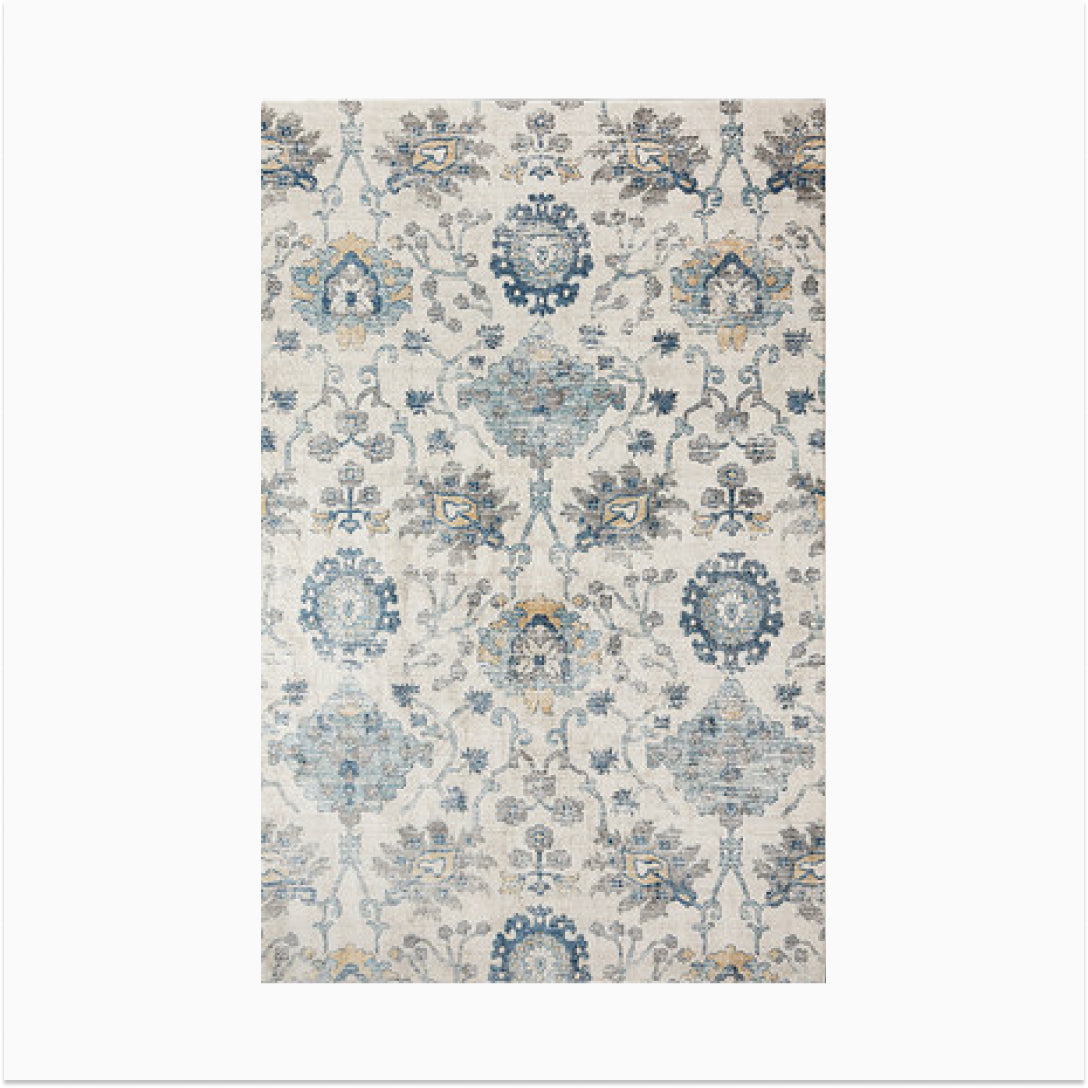 Pacome Area Rug IV