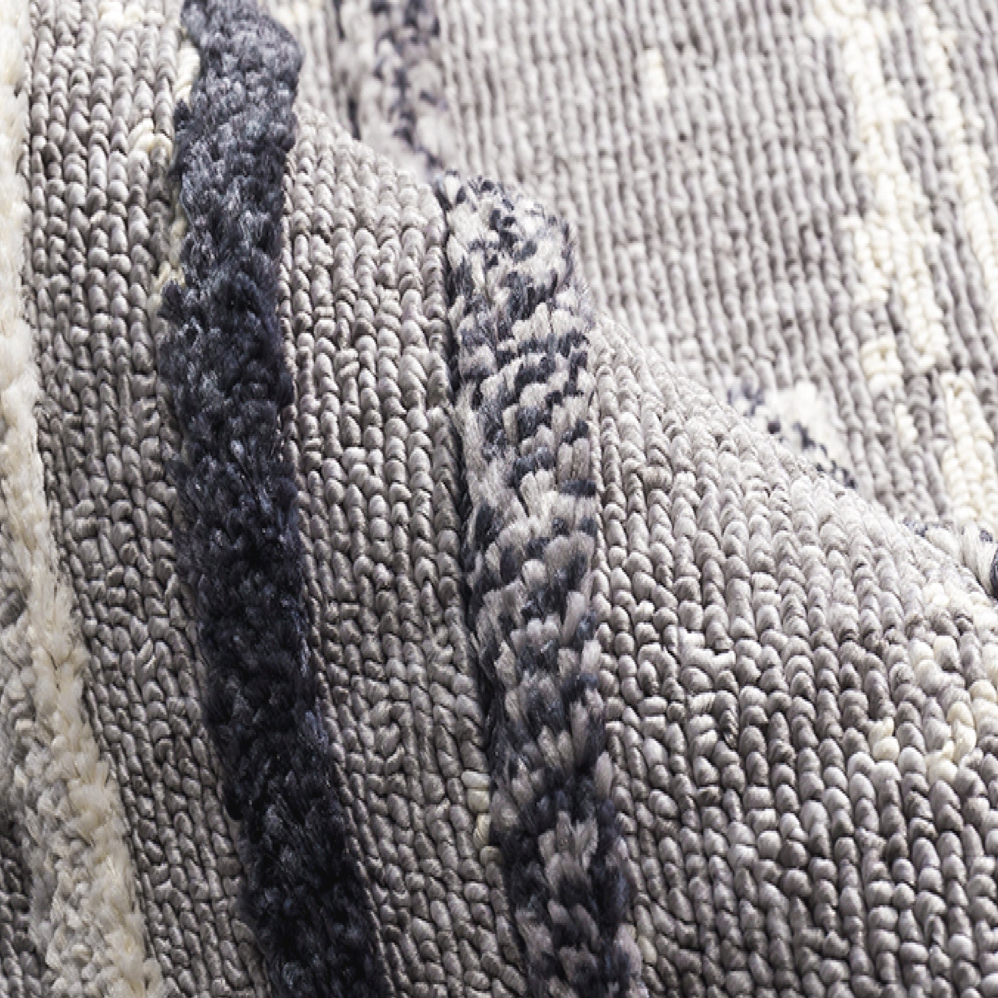Jaxan Area Rug II