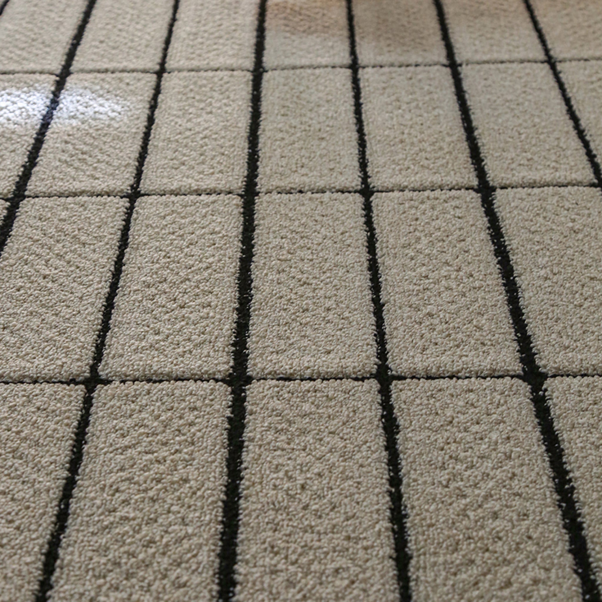 Mason Area Rug