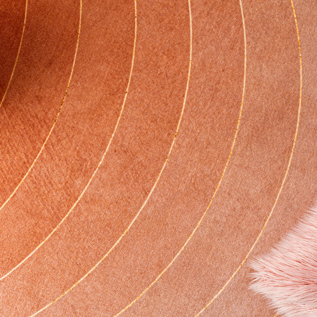 Sole Round Area Rug