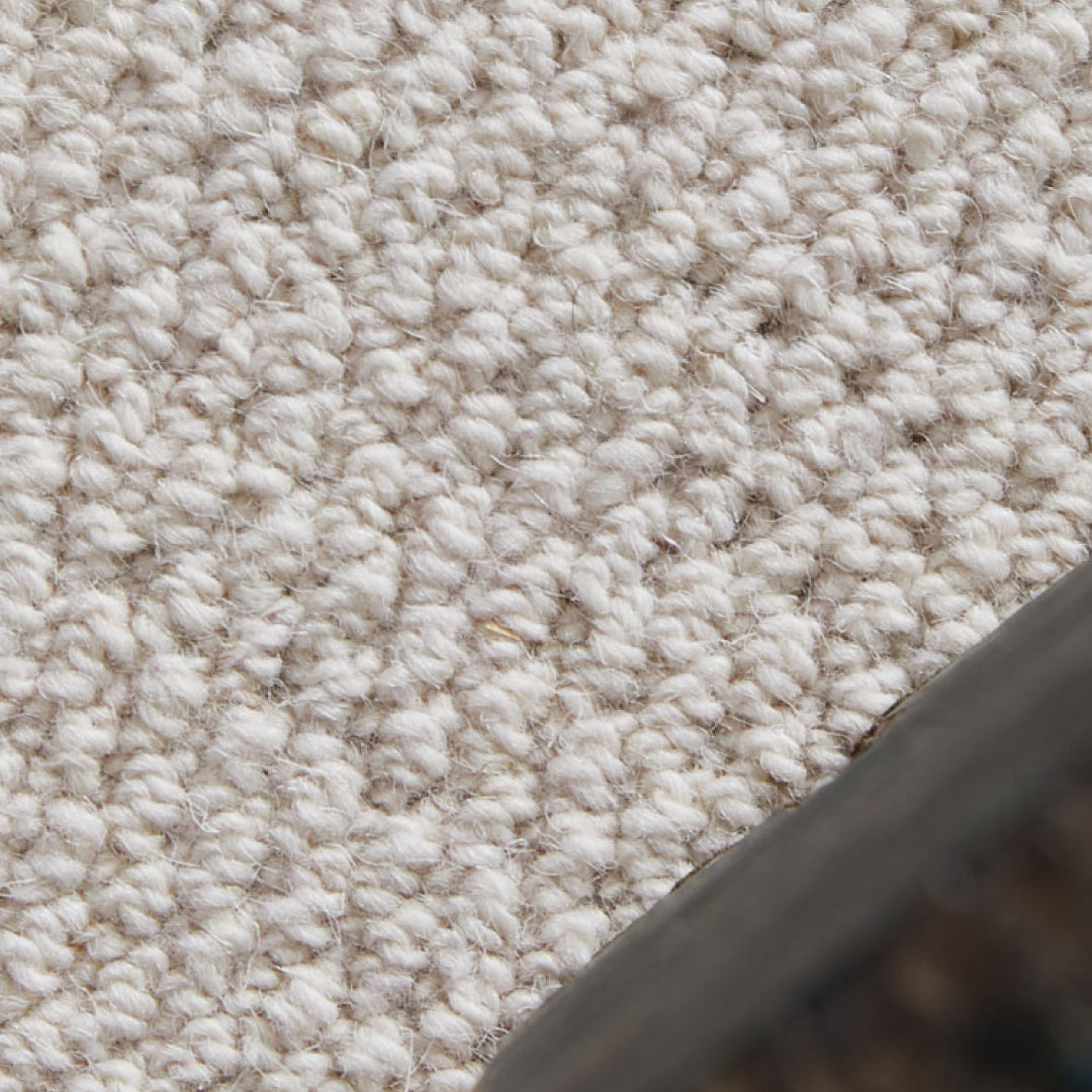 Cisty Fine Area Rug