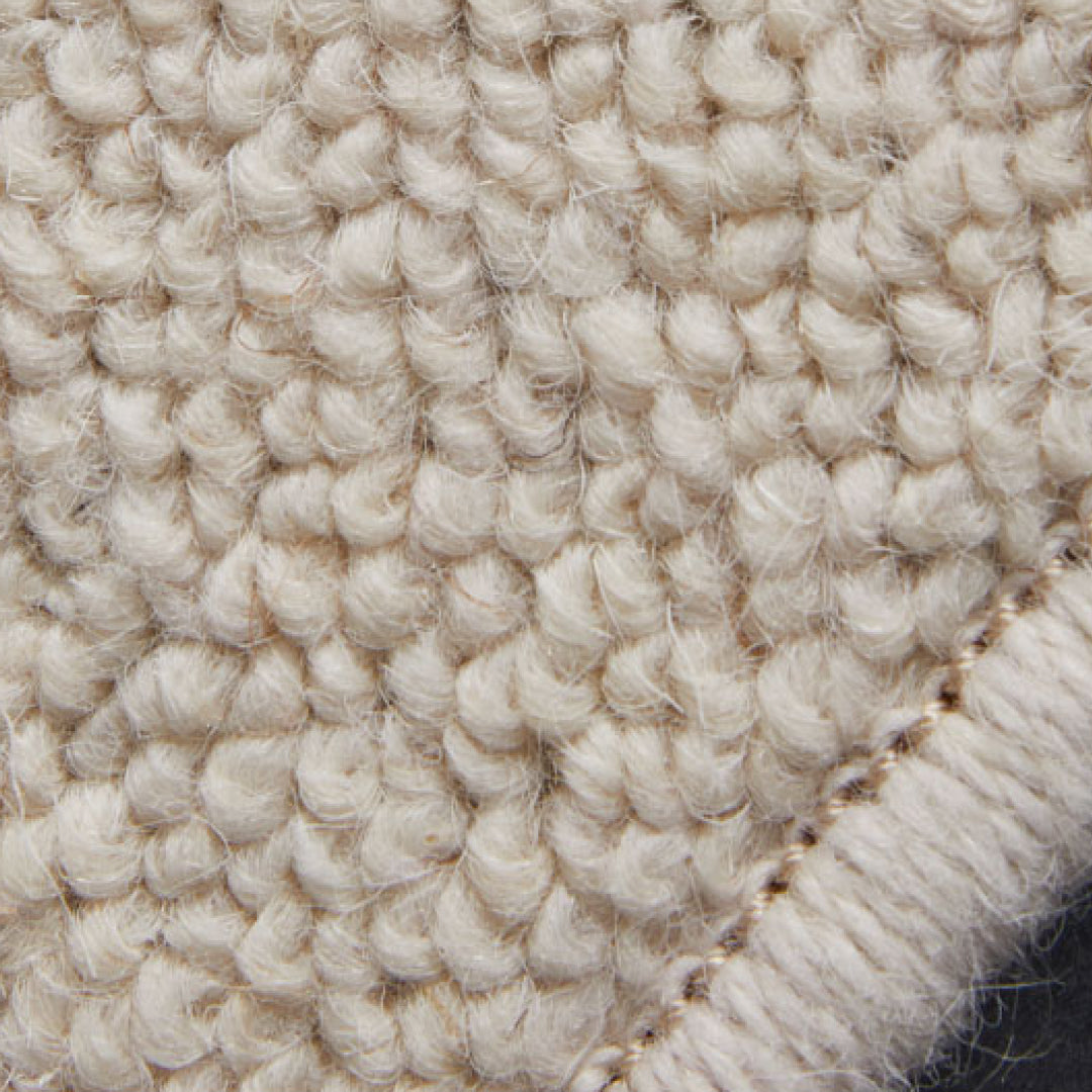 Cisty Fine Area Rug