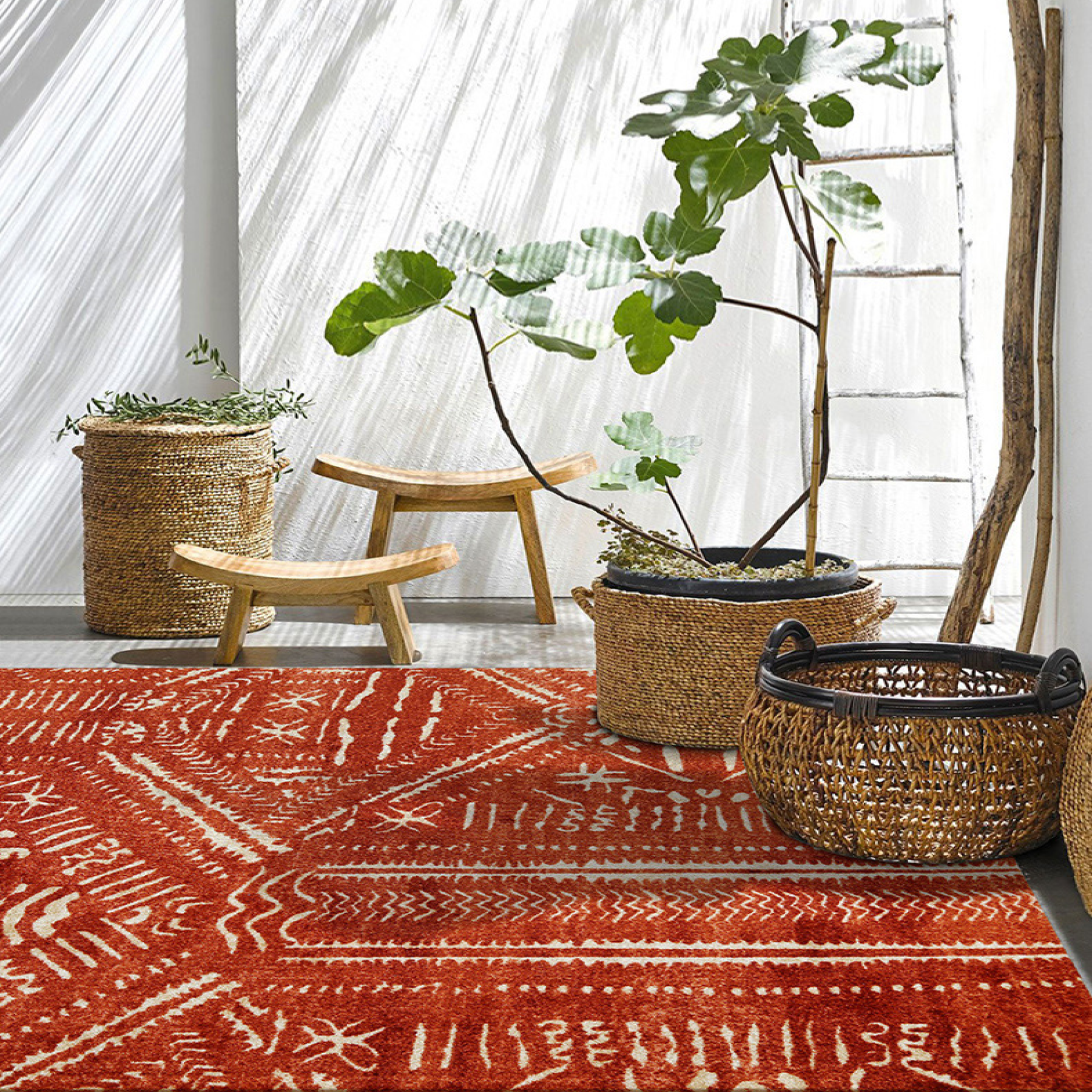 Morroco Area Rug