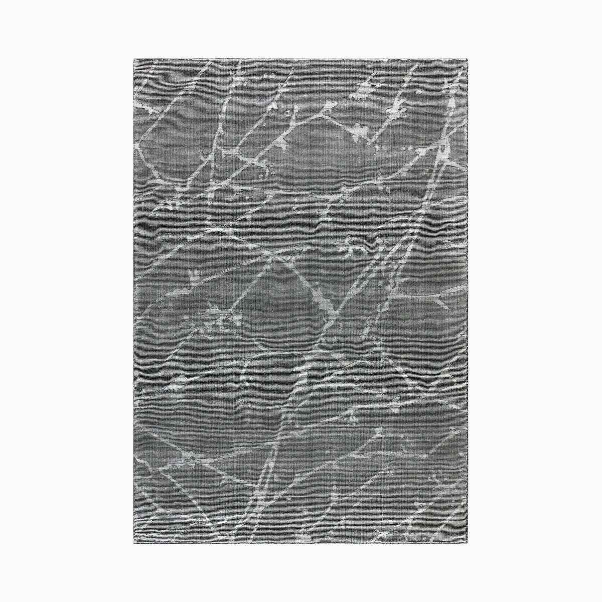 Kova Rug, 19