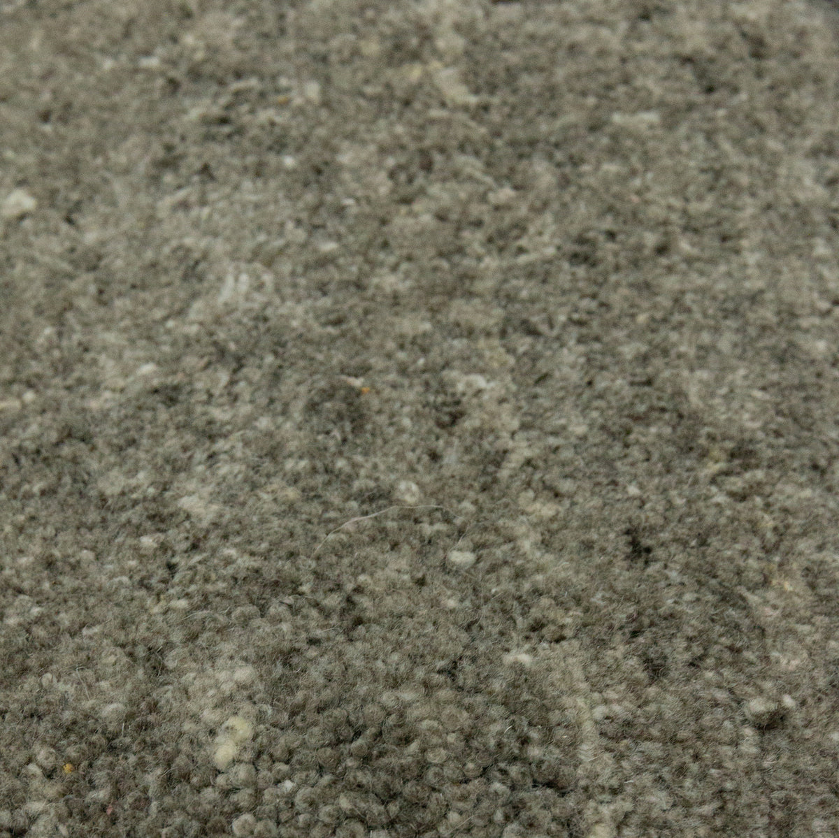 Naya Rug, 04