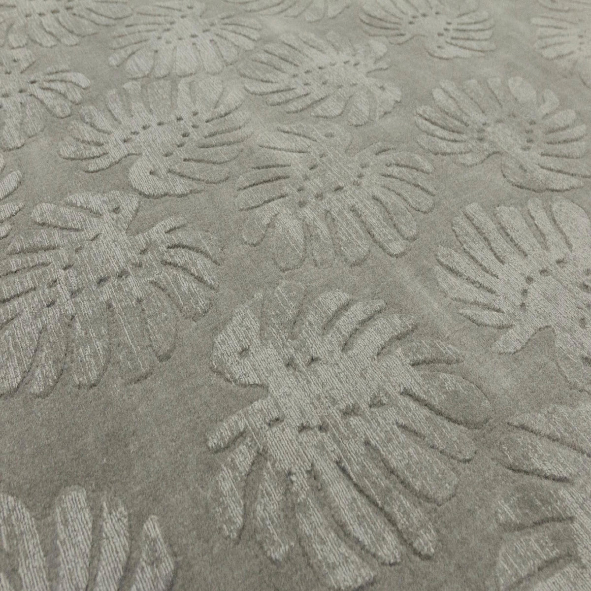 Milani Rug, 19