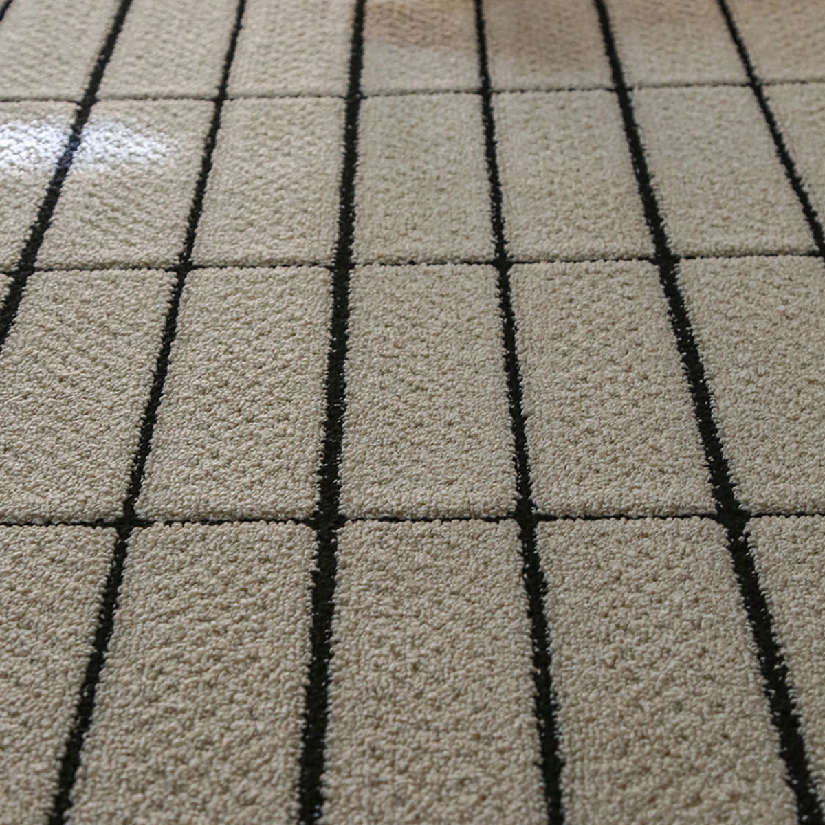 Mason Area Rug